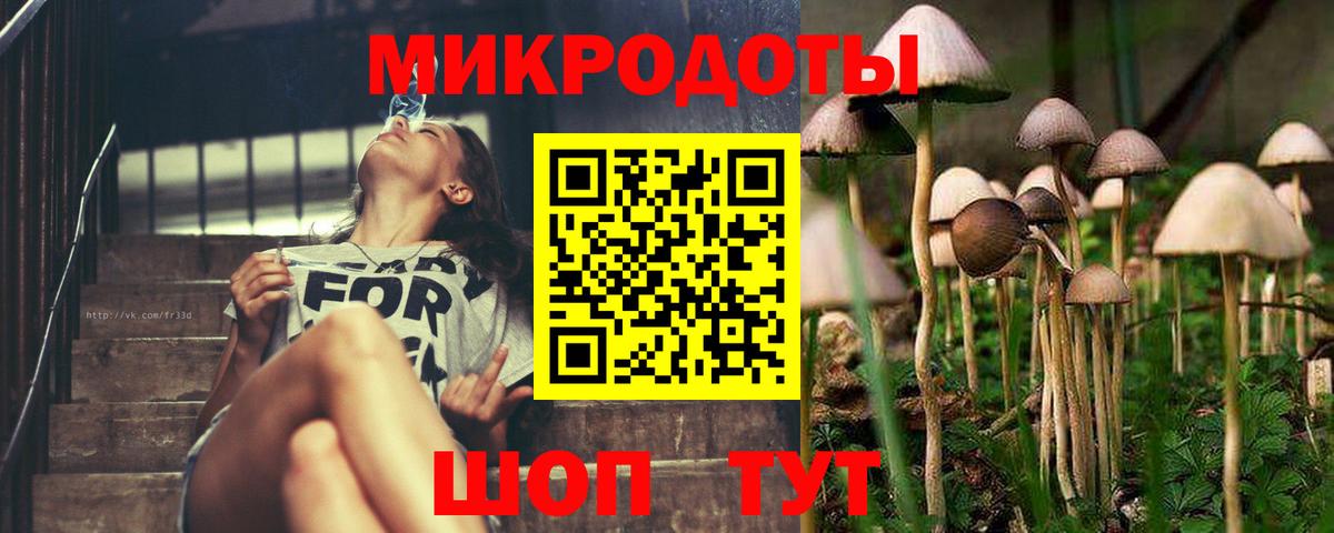 Галлюциногенные грибы Cubensis  Вход с VPN  Тихвин 